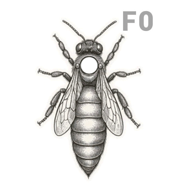 Belegstellenkö Gelm überwintert Lutz Eggert